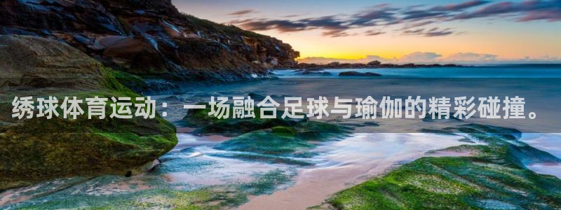xc体育app官方网站
