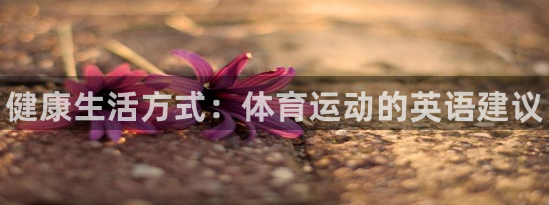 xc体育app官方网站