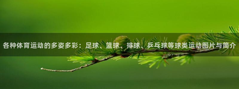 xc体育app官方网站：各种体育运动的多姿多彩：足球、篮球、排球、乒乓球等球类运动图片与简介