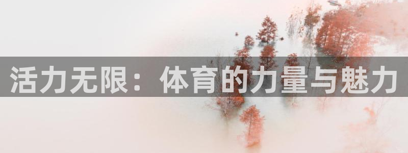 xc体育