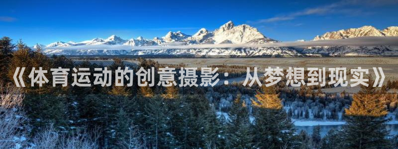 xc体育app官方网站：《体育运动的创意摄影：从梦想到现实》