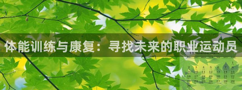 xc体育app官方网站：体能训练与康复：寻找未来的职业运动员