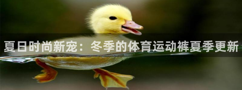 xc体育：夏日时尚新宠：冬季的体育运动裤夏季更新