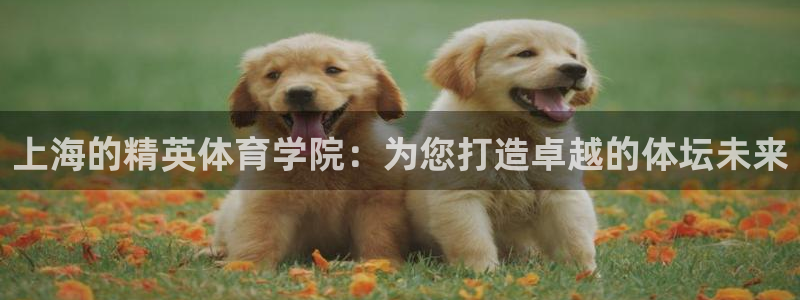 xc体育app官方网站：上海的精英体育学院：为您打造卓越的体坛未来