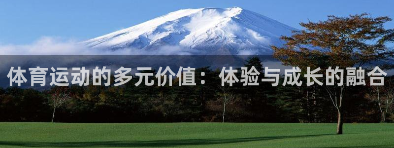 xc体育