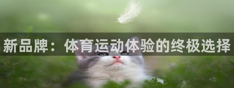 xc体育