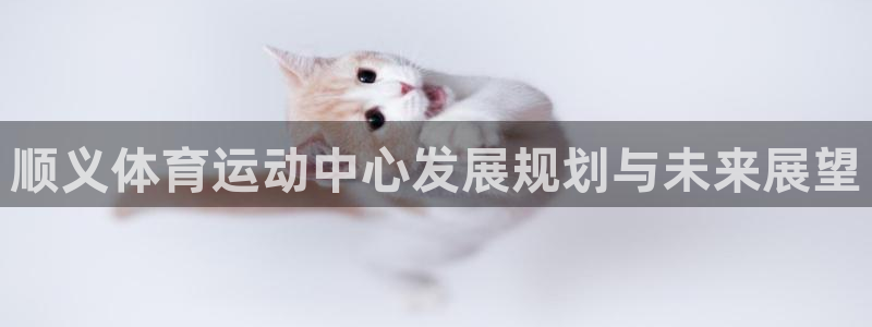 xc体育