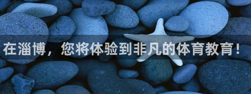 xc体育：在淄博，您将体验到非凡的体育教育！